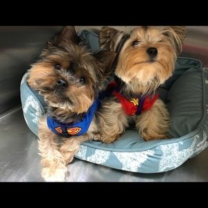 Meet your Posher, Scott